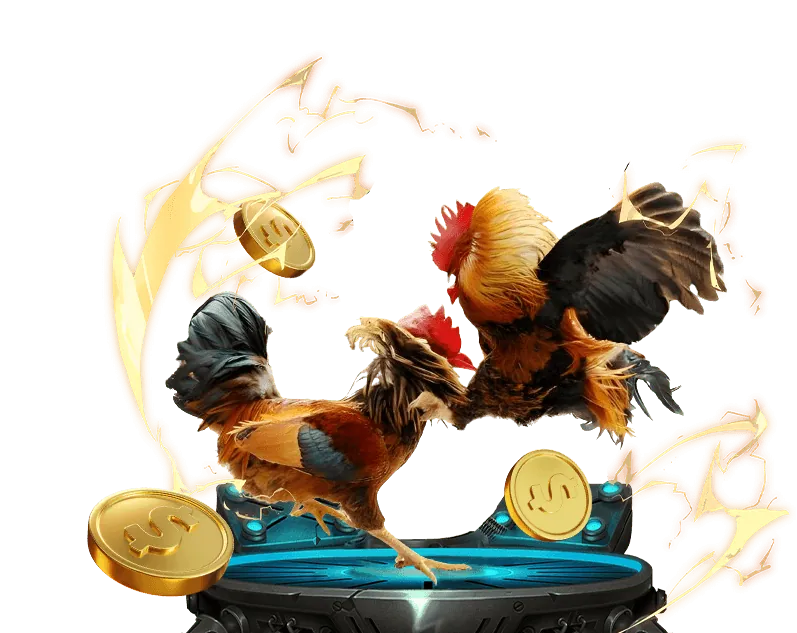 Giao diện đặt cược đá gà trên TT88 APP GAME TT88